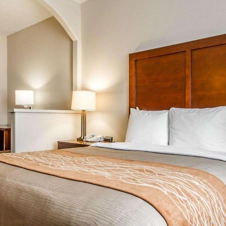 Comfort Inn & Suites Oakland Airport Eksteriør bilde